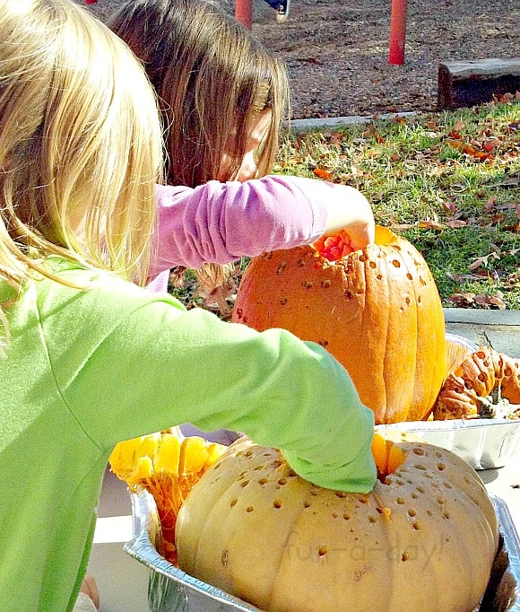 The Smelly Pumpkin Experiment - A Lesson in Decomposition