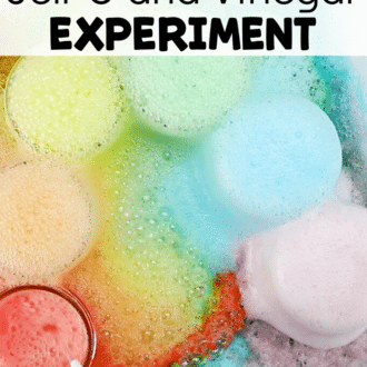 rainbow science with text that reads jello and vinegar experiment