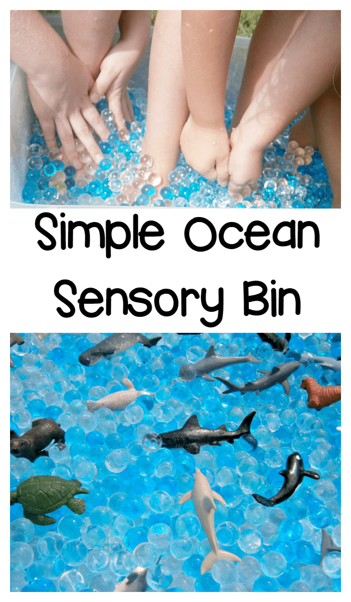 Super Simple Ocean Sensory Bin Kids Will Love