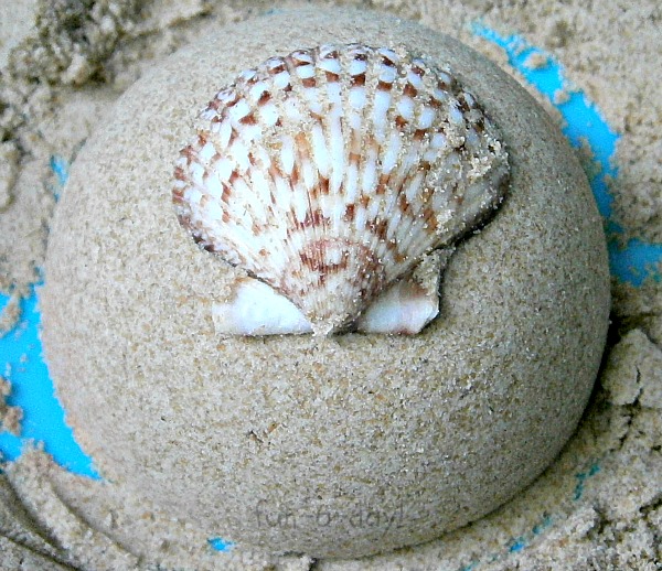 toddler-safe play sand shaped into a circle with a shell on top