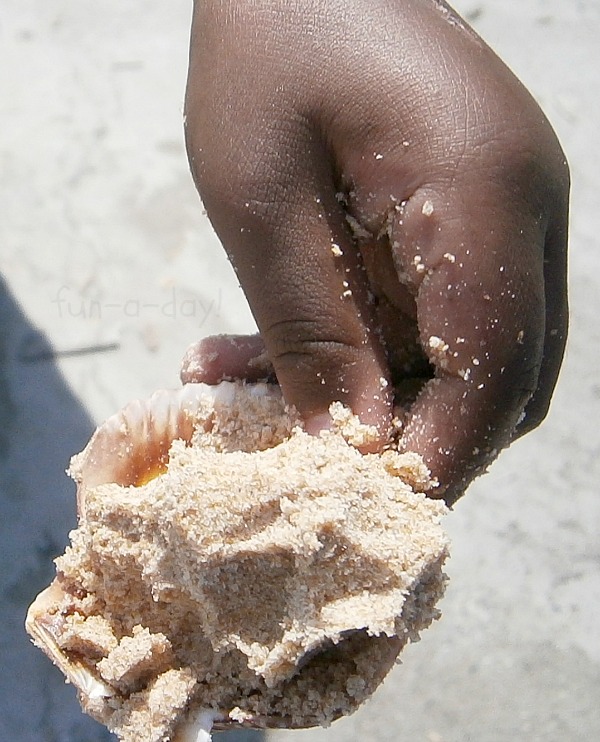 child's hand holding a shell filled with edible sand