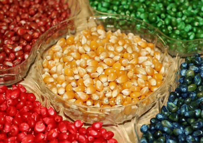red, orange, yellow, green, and blue dyed popcorn kernels in a divided dish