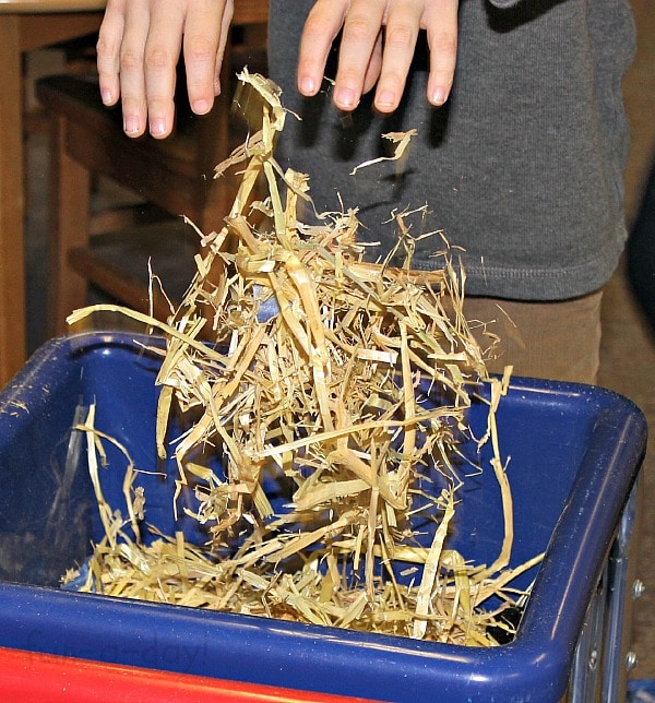 Preschooler dropping hay into a sensory bin.
