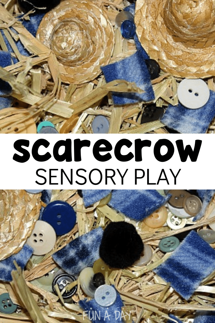 Scarecrow sensory bin with text that reads scarecrow sensory play