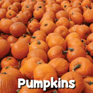 Preschool Themes - Pumpkins