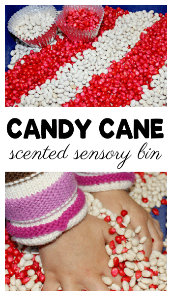 Scented Christmas Activity - Candy Cane Sensory Bin for Preschool