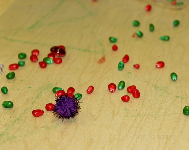 Contact paper with colorful corn kernels and pompoms.