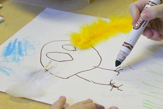 bird craft for kids - drawing the birds' feet