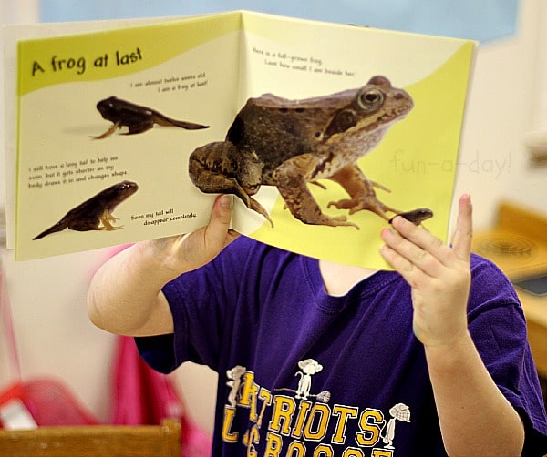 book to go along with a frog sensory bin