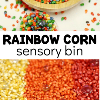Colorful corn kernel collage with text that reads rainbow corn sensory bin.