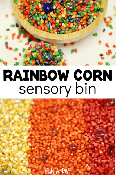 Colorful corn kernel collage with text that reads rainbow corn sensory bin.