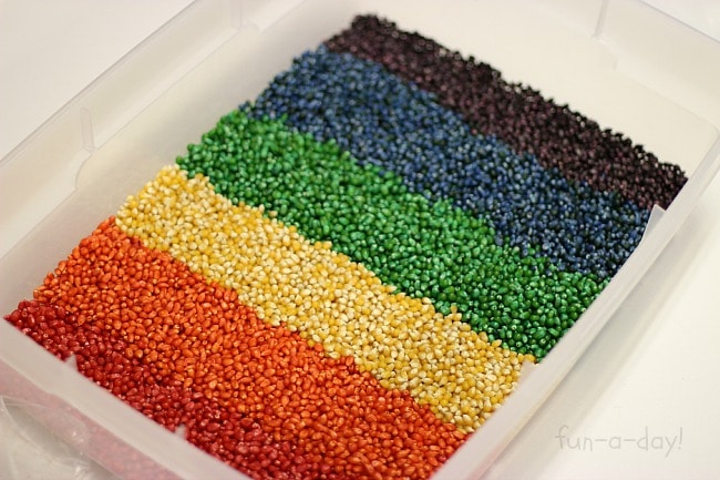 Dyed corn in rainbow order within a plastic bin.