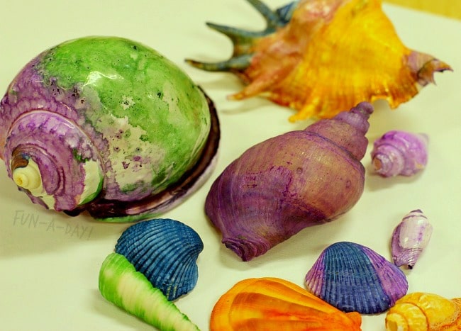 shell painting for kids