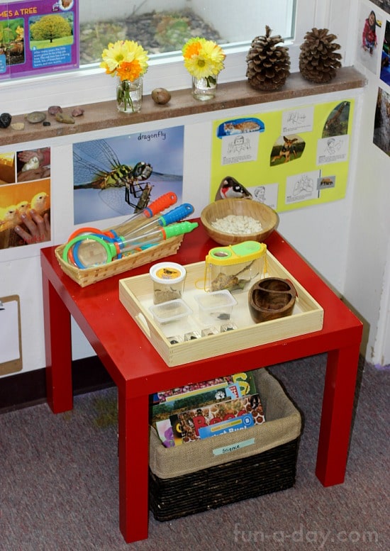 a look at setting up a preschool science center with an insect and plant theme
