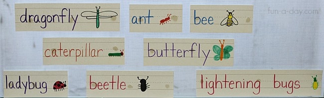 mini word wall for the preschool science center