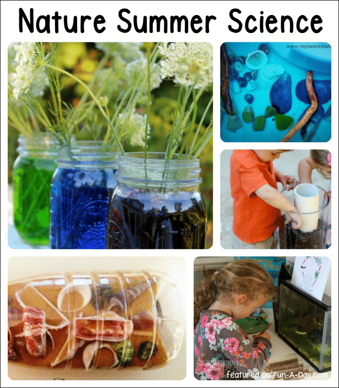 Top 10 Summer Science Activities and Experiments - Using Nature