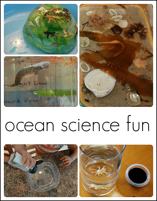 preschool ocean theme science 1