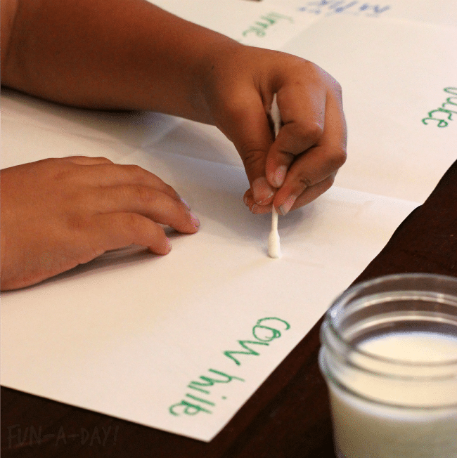 using a cotton swab to write with cow milk during a homemade invisible ink experiment