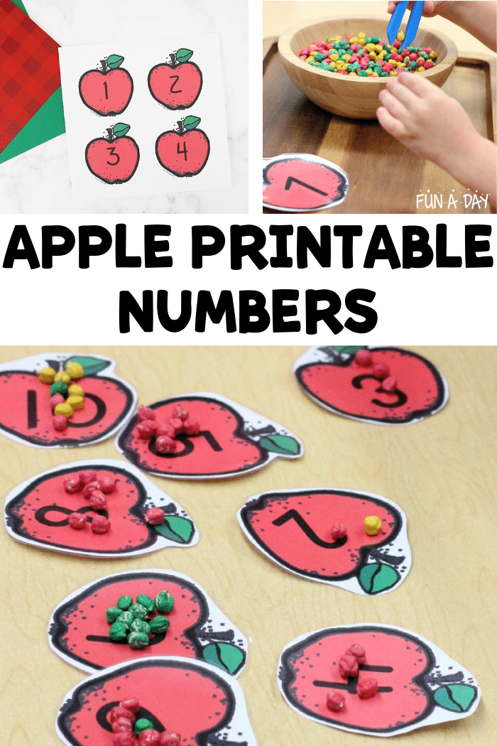 pinnable image of three different images of apple number cards being used with the text apple printable numbers