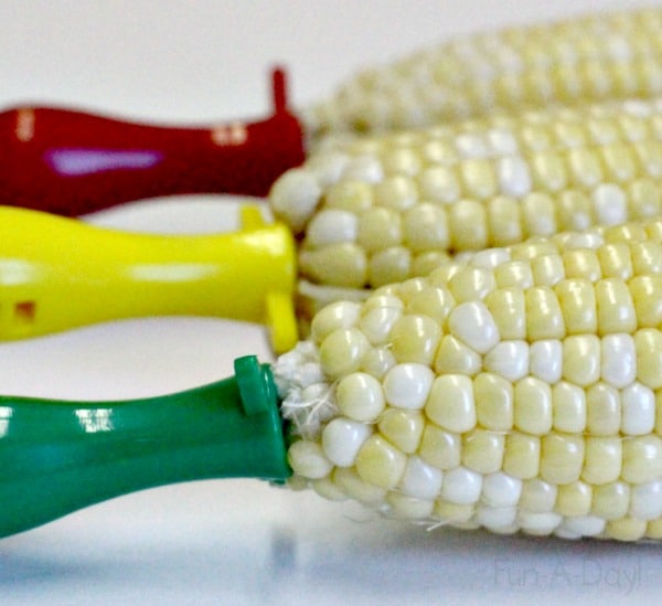 corn cobs with corn cob holders
