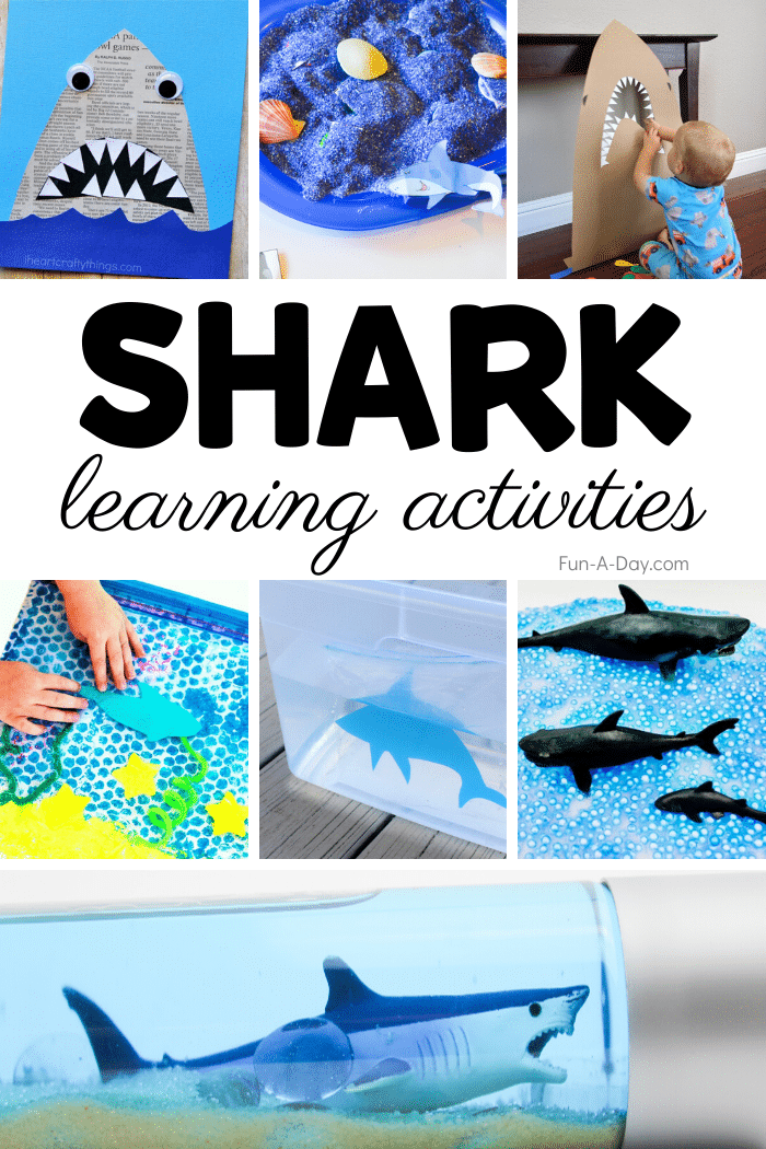 shark activities with text that reads shark learning activities