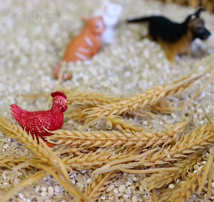 Children can retell the story of the Little Red Hen with this simple sensory bin