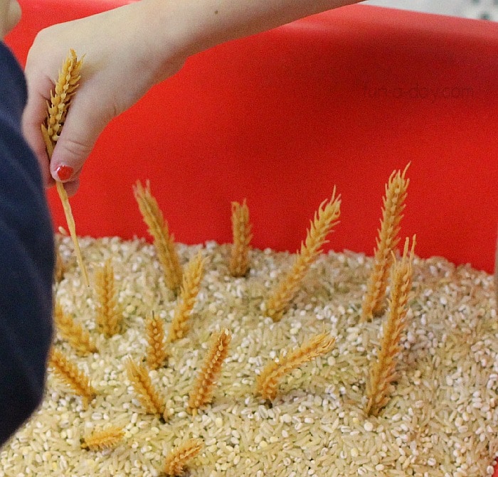 Children planting corn like the story of the Little Red Hen