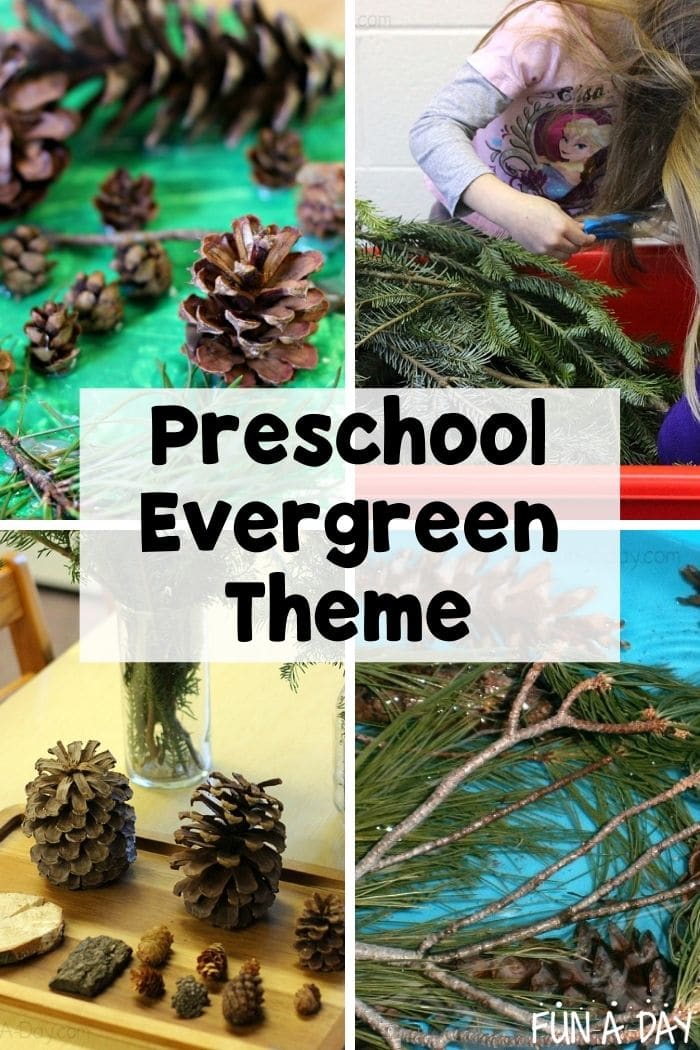 4 evergreen activities for preschoolers with text that reads preschool evergreen theme