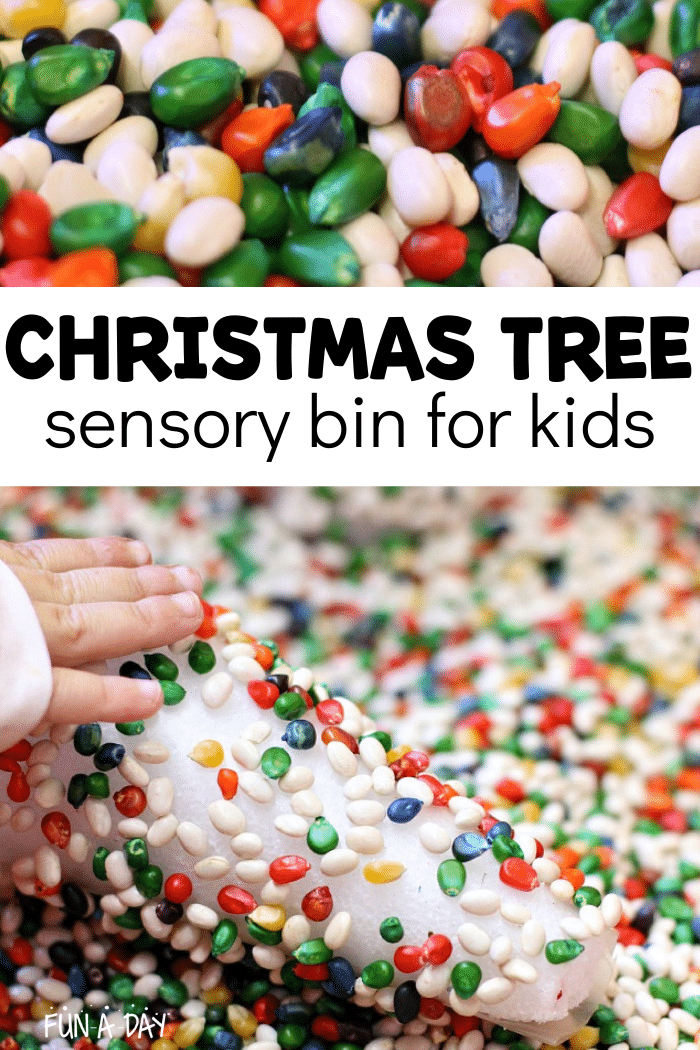 Colorful corn and beans in a bin with text that reads christmas tree sensory bin for kids.