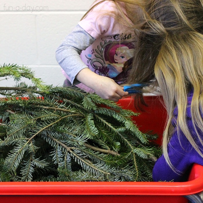 Two preschoolers exploring a sensory bin filled with evergreen branches