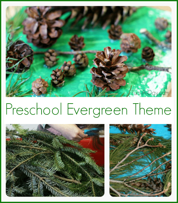 Collage of evergreen tree activities with text that reads preschool evergreen theme