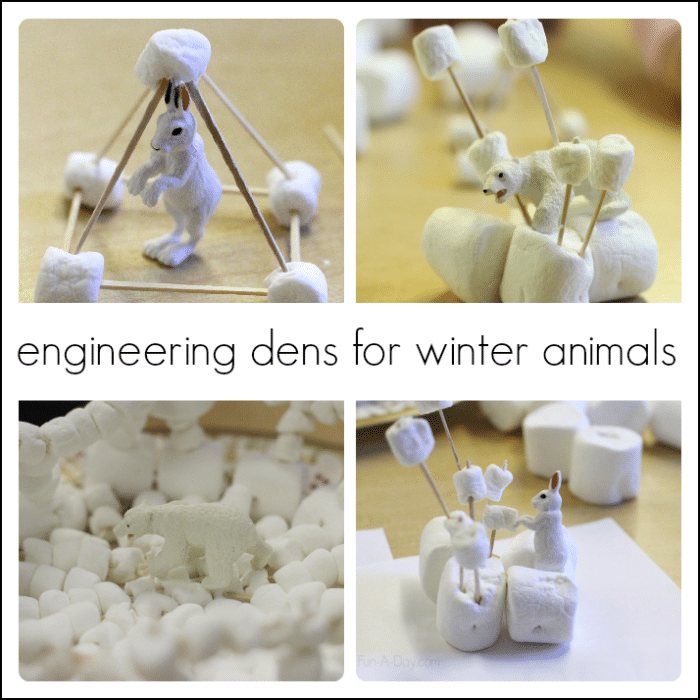 Creating dens for winter animals - an engineering project for kids