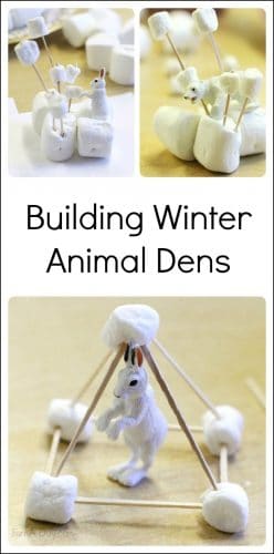 Engineering project for kids - building arctic animal dens with marshmallows and toothpicks