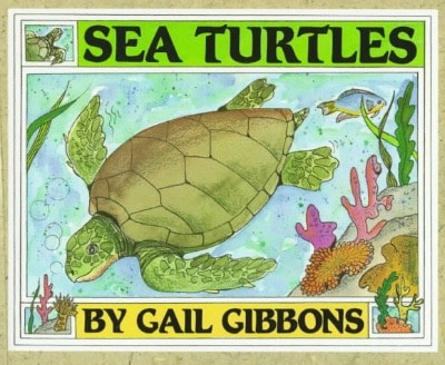 Reptile Books for Preschoolers - Sea Turtles