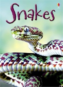 Reptile Books for Preschoolers - Snakes