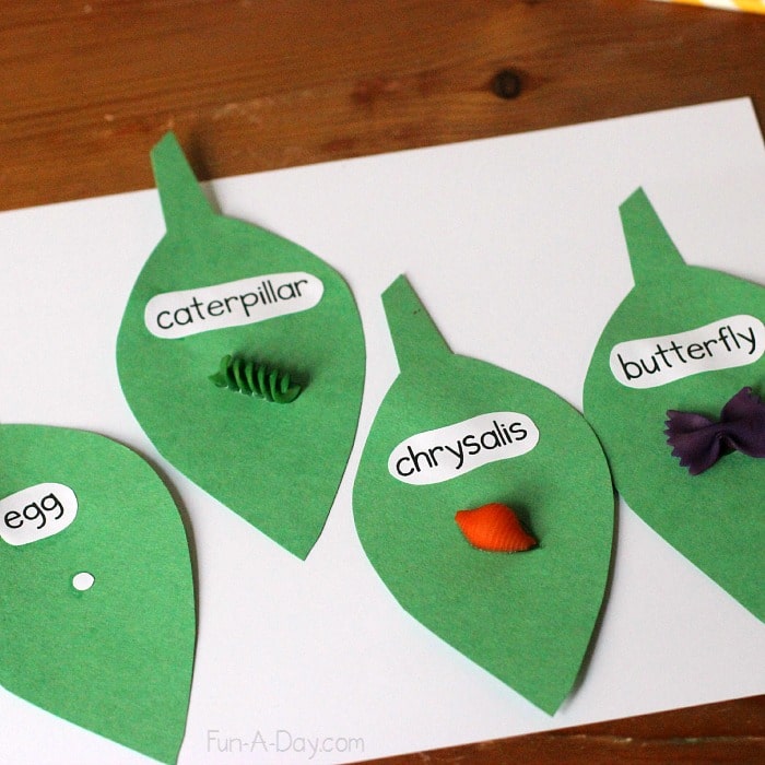 Leaves cut from green paper with egg, caterpillar, chrysalis, and butterfly written on them, with corresponding dyed pasta for a butterfly life cycle necklace craft