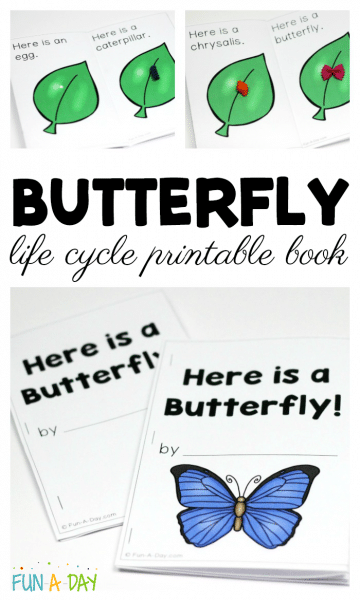 Free Butterfly Life Cycle Printable Emergent Reader