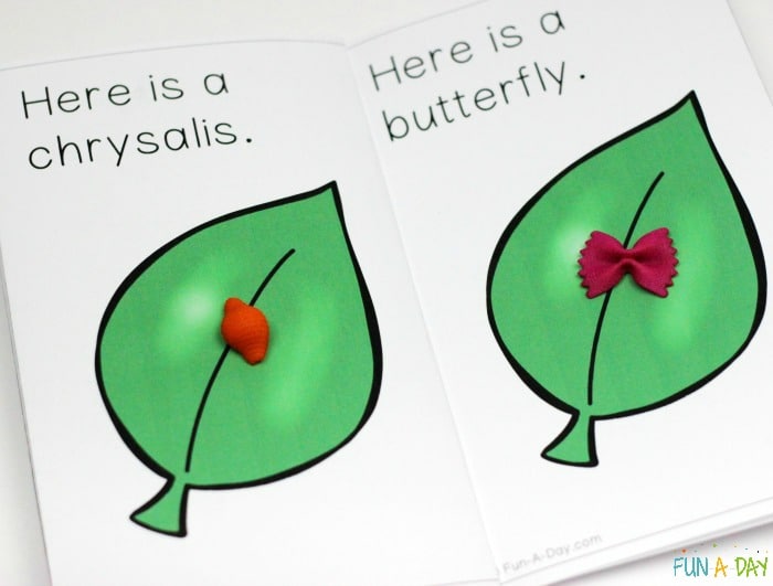 printable book about butterflies with text that reads Here is a chrysalis. Here is a butterfly.
