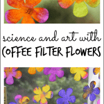 Explore science and spring art concepts with coffee filter flowers - an awesome process for kids to try