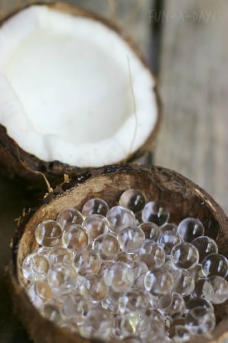 Coconut water beads - love this list of 10 preschool summer activities all about coconuts!