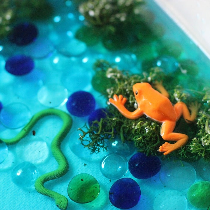 Easy pond sensory play idea - grab materials that you have on-hand, add water and play, even if the toys are not entirely accurate to pond life