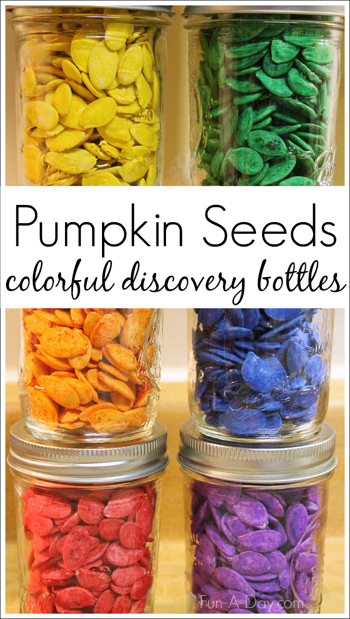 Jars with dyed pumpkin seeds with text that reads pumpkin seeds colorful discovery bottles