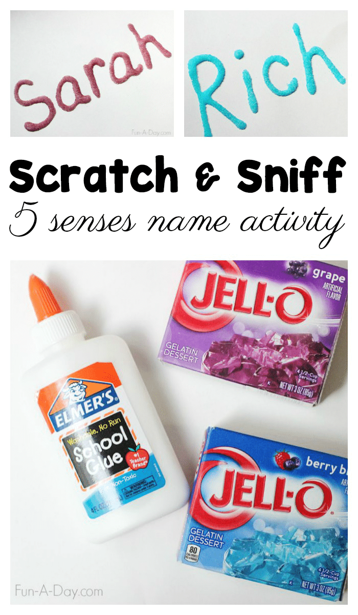 pinnable image collage of two names written in glue and covered in jell-o powder pictured with the glue and jell-o and the text 'scratch and sniff 5 senses name activity'