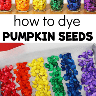 colorful pumpkin seeds with text that reads how to dye pumpkin seeds