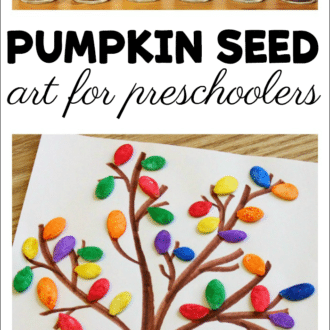 jars of dyed pumpkin seed and hand drawn tree with seeds as leaves with text that reads pumpkin seed art for preschoolers