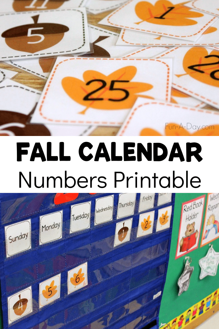 Collage images of acorn and leaf number cards for preschool calendar time with text that reads fall calendar numbers printable.