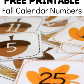 Close up of leaf and acorn number cards with text that reads free printable fall calendar numbers.
