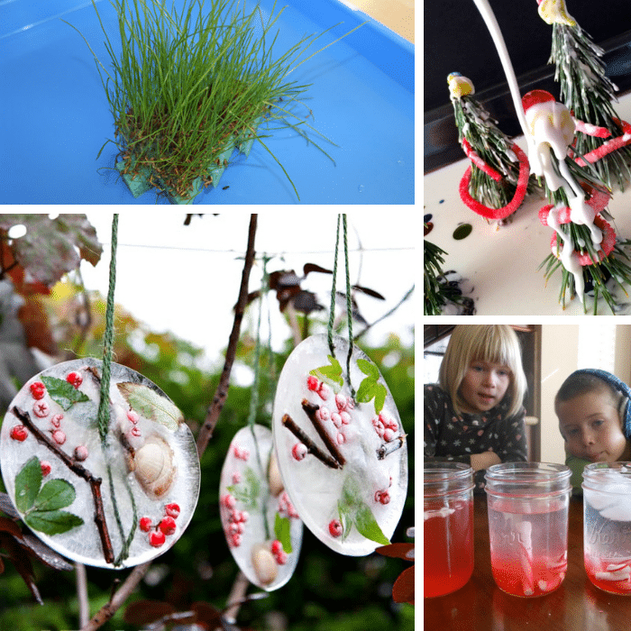 collage of four science experiments that are perfect for preschoolers at Christmas