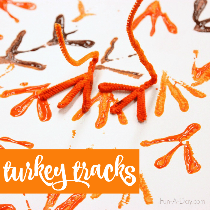Turkey tracks