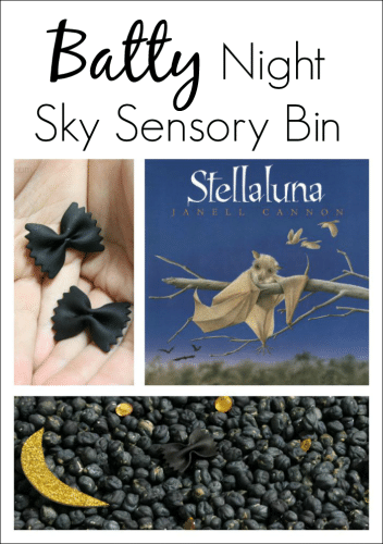 Top sensory and science activities for kids from 2015 - Stellaluna sensory bin